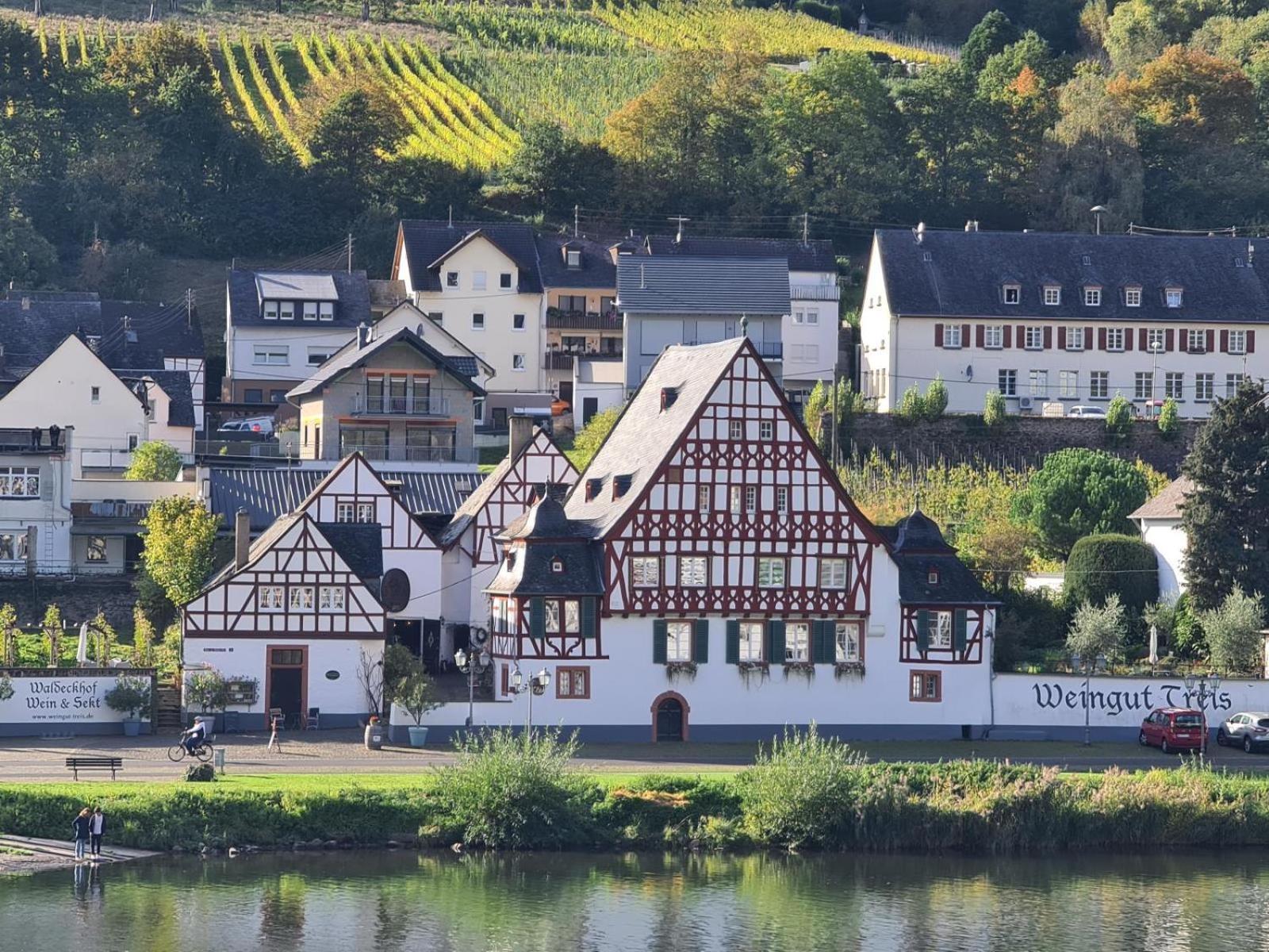 Apartment Moselpromenade 5 Zell an der Mosel